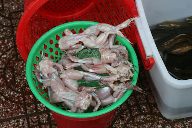 Skinless frog ready to be fried and eaten