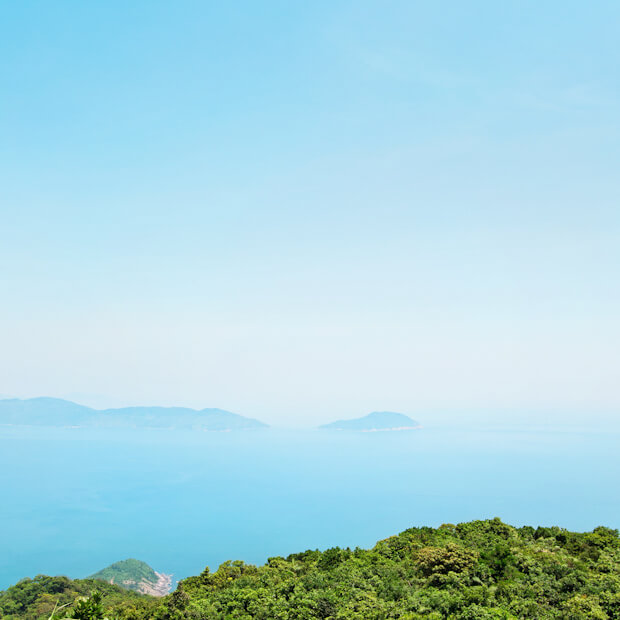 Son Tra Peninsula