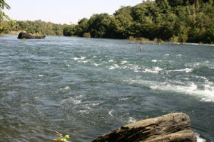 Kali River Rapids