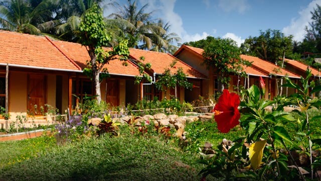 Lots of greenery around the villas