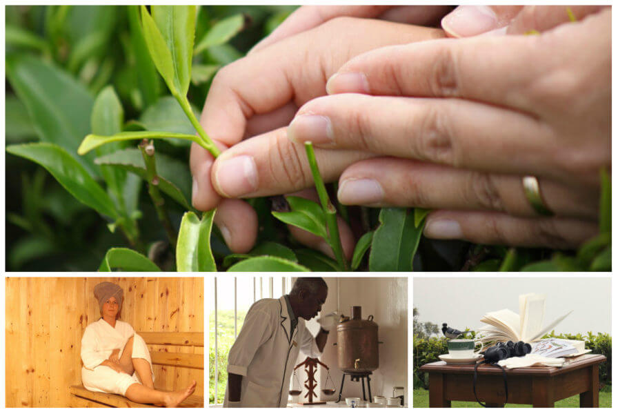 Heritance Tea FActory Sctivities